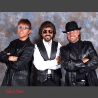 BEE GEES